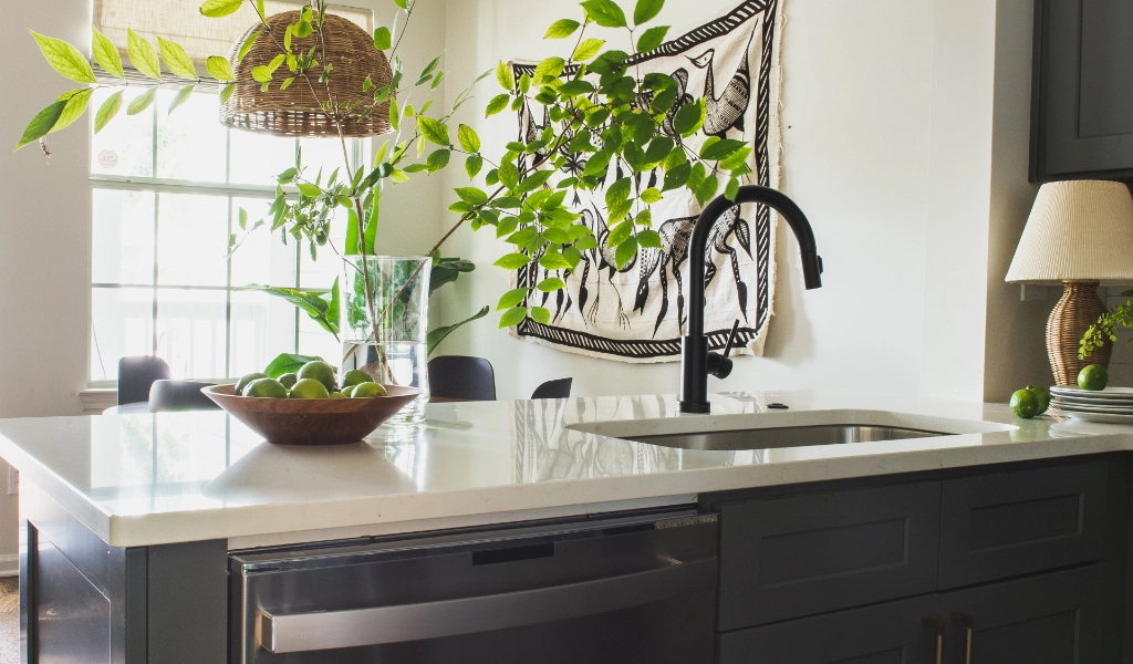 A black kitchen with a plant hanging over the sink.