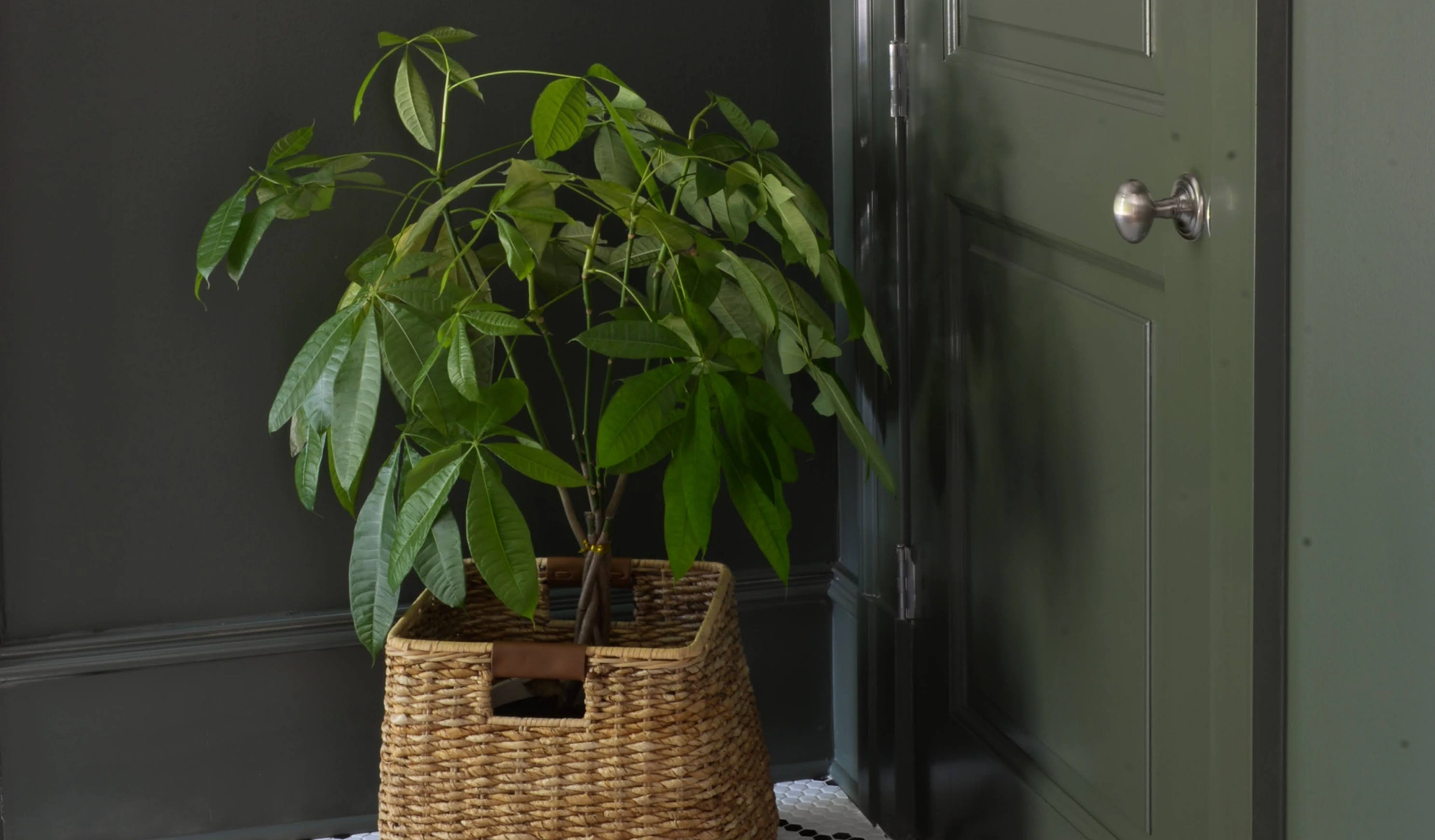 A custom wicker basket with a plant sits proudly in front of a door.
