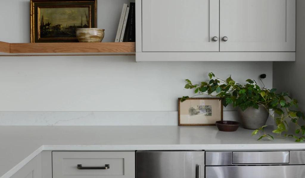A kitchen with white cabinets and a plant on the counter.